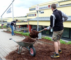 Zwei Personen arbeiten im Schulgelände und verteilen Rindenmulch.