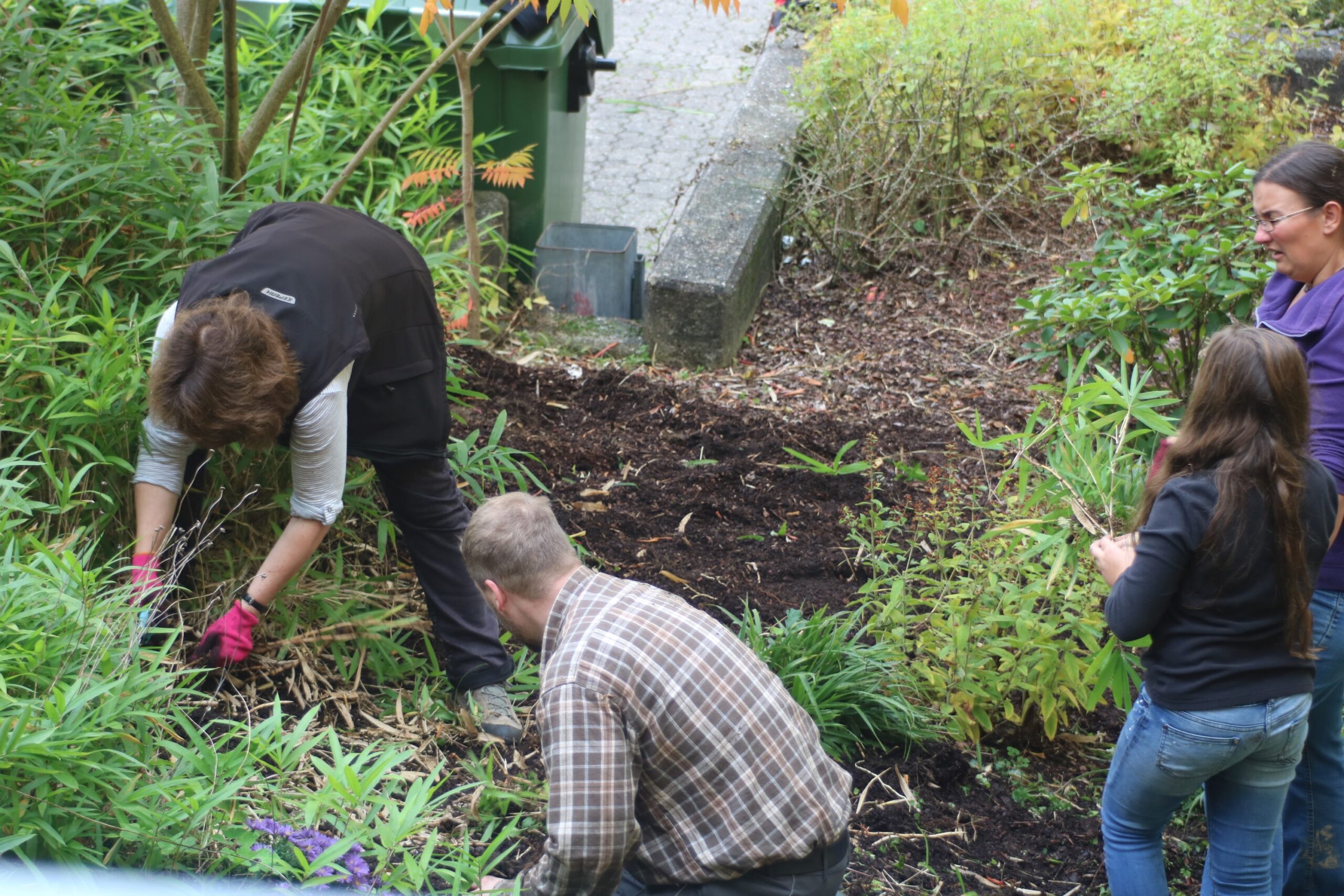 Menschen arbeiten im Garten und entfernen Unkraut zwischen Pflanzen.