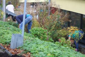 Personen im Garten bei der Pflege von Pflanzen und Sträuchern.