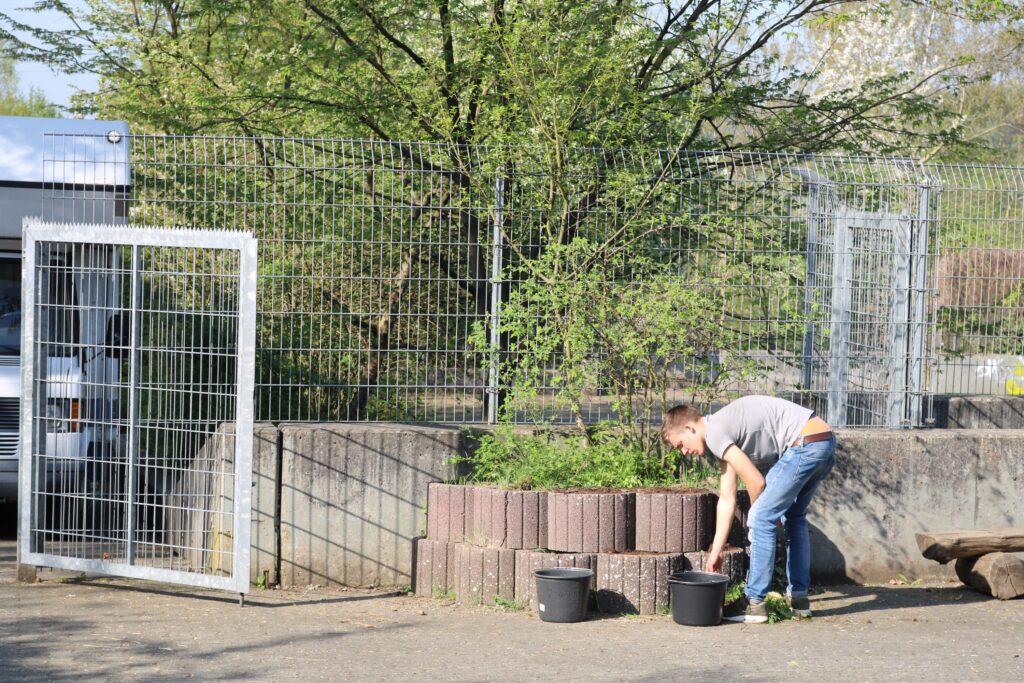 Person gartnet neben einem Zaun und bepflanzt Töpfe.