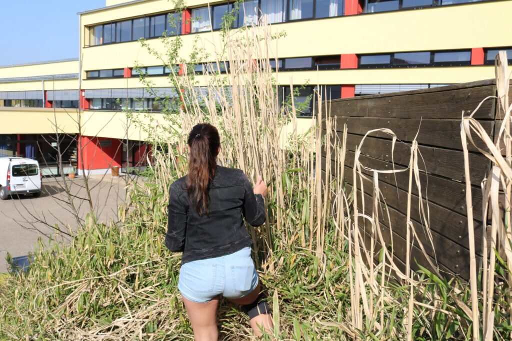 Eine Person steht neben hohem Gras vor einem Schulgebäude.