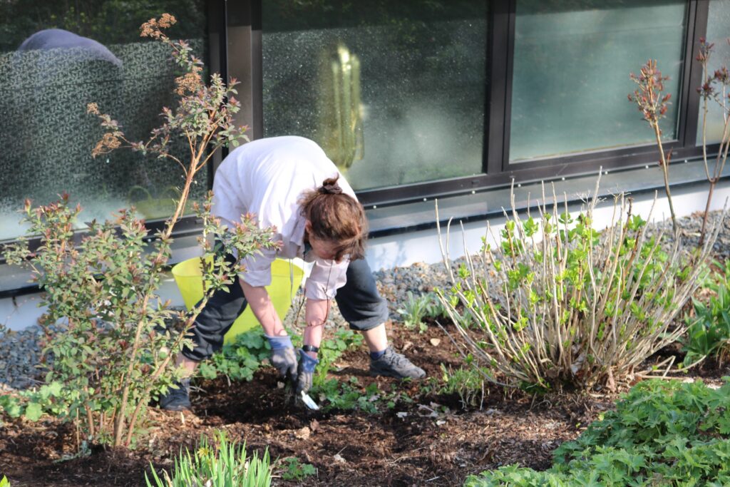 Eine Person arbeitet im Garten und pflanzt Blumen.