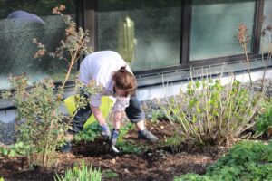 Eine Person arbeitet im Garten und pflanzt Blumen.