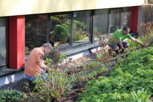 Zwei Personen arbeiten im Garten und pflegen die Pflanzen neben einem Gebäude.