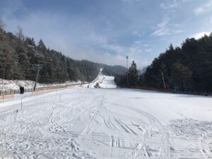 Schneebedeckte Skipiste mit Holzrand und Wald im Hintergrund.
