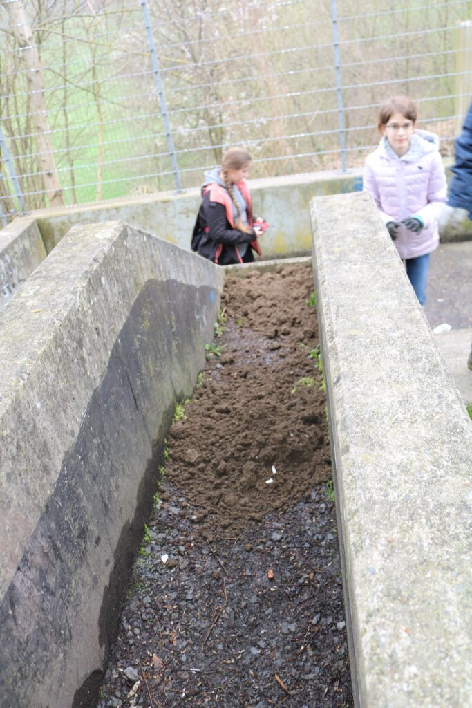 Kinder spielen auf einer Betonstruktur im Freien, umgeben von Bäumen.