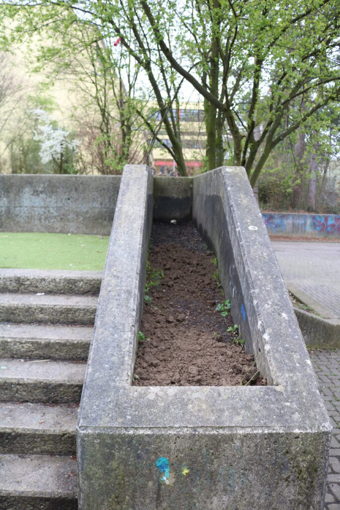 Betonrampe mit schmalem Pflanzenbeet und Treppen im Hintergrund.