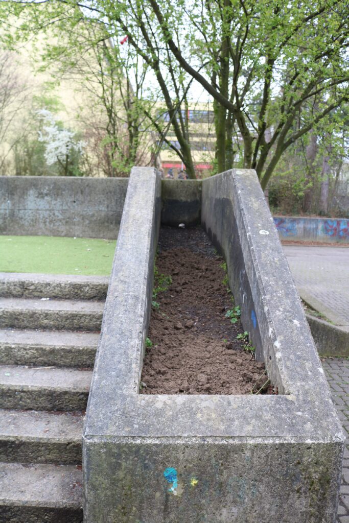 Betonrampe mit seitlichen Wänden und einer bepflanzbaren Mulde.