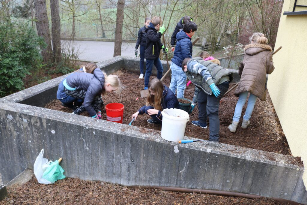 Schüler arbeiten im Schulgarten und pflanzen Blumen.