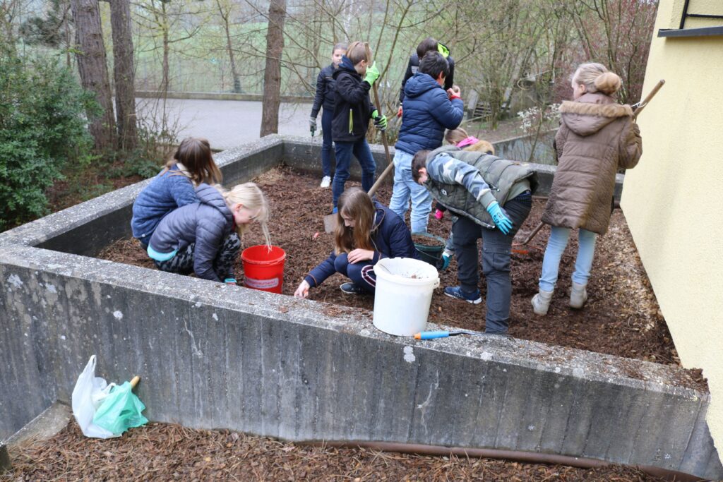 Schüler pflanzen in einem Gartenbereich mit Erde und Werkzeugen.