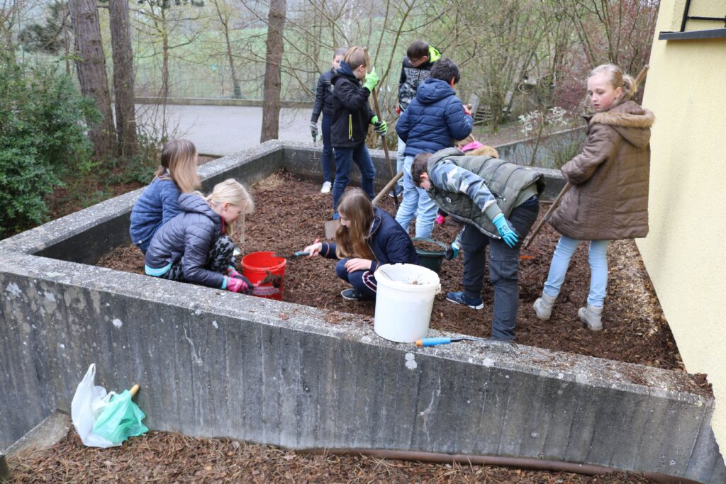 Schüler arbeiten gemeinsam im Schulgarten und pflanzen Blumen.