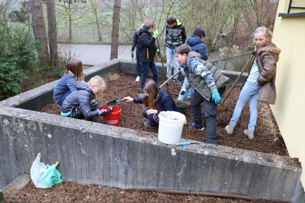 Schüler arbeiten in einem Gartenbeet und pflanzen oder pflegen Pflanzen.