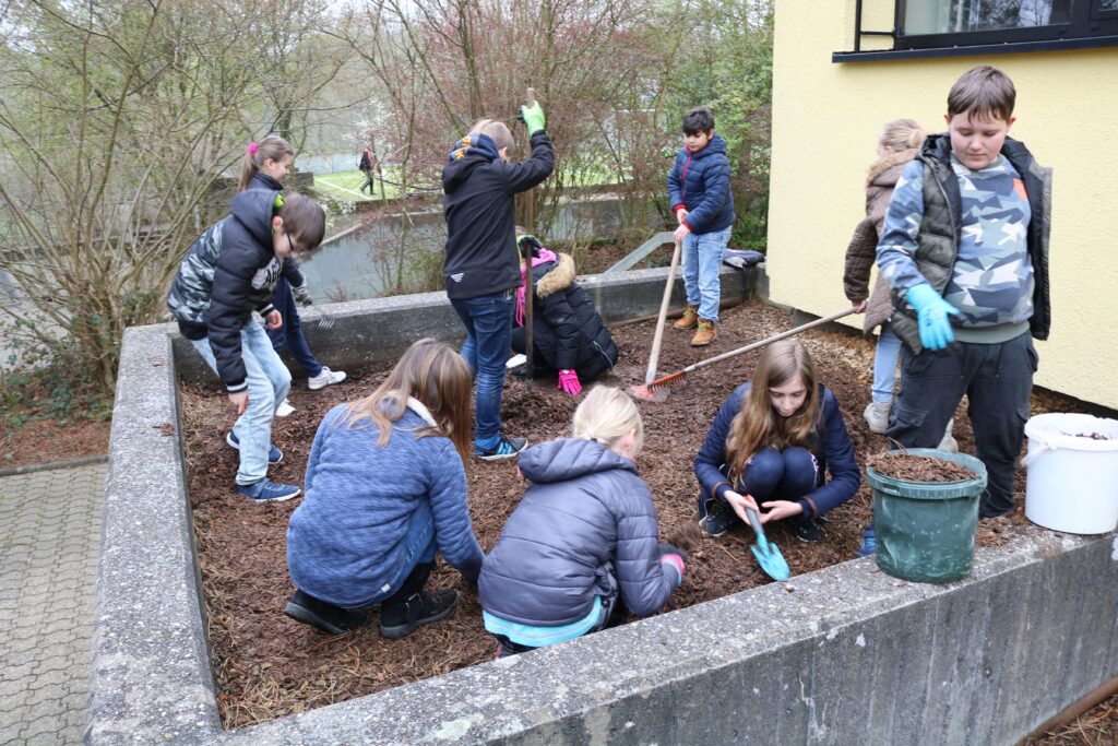 Schüler arbeiten im Schulgarten und pflanzen Blumen oder Gemüse.