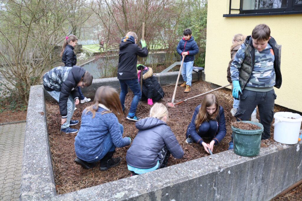 Schüler arbeiten im Schulgarten und pflanzen gemeinsam.