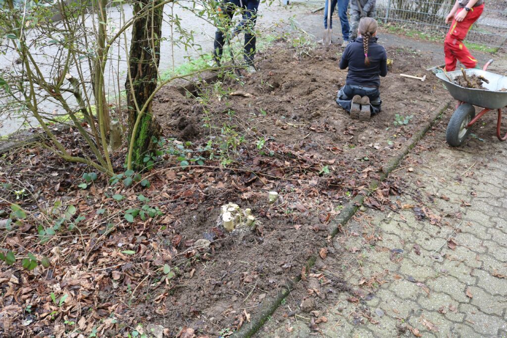 Gartenarbeit: Menschen arbeiten im Boden, Pflanzen werden vorbereitet.