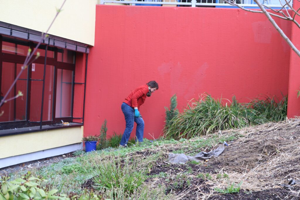 Person arbeitet im Garten, entfernt Pflanzen vor roter Wand.