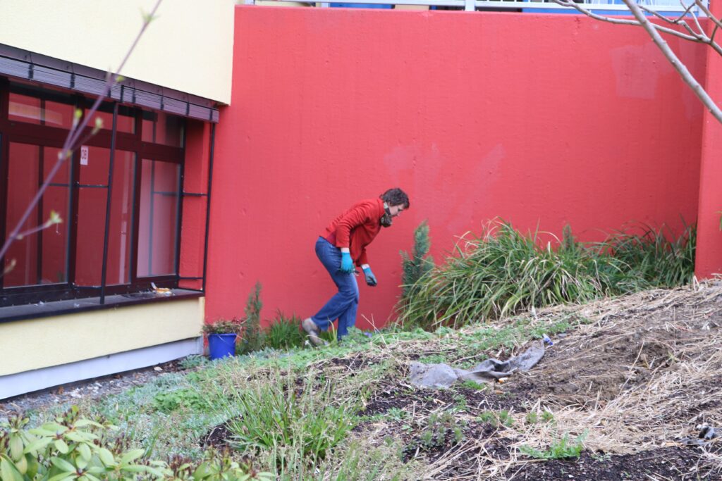 Person arbeitet im Garten neben einer rot gestrichenen Wand.