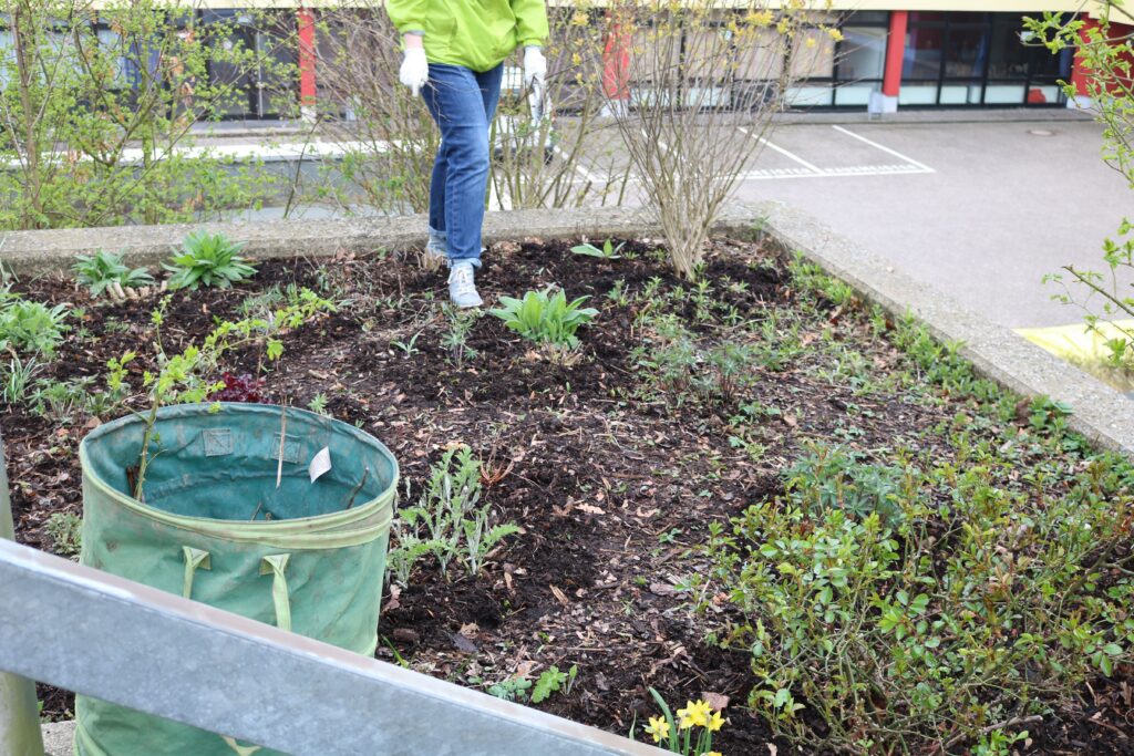 Eine Person in grüner Kleidung arbeitet in einem Gartenbeet.