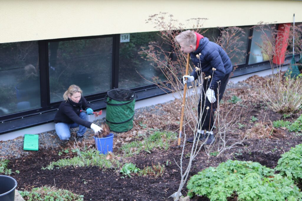 Schüler:innen arbeiten im Schulgarten und pflegen Pflanzen.