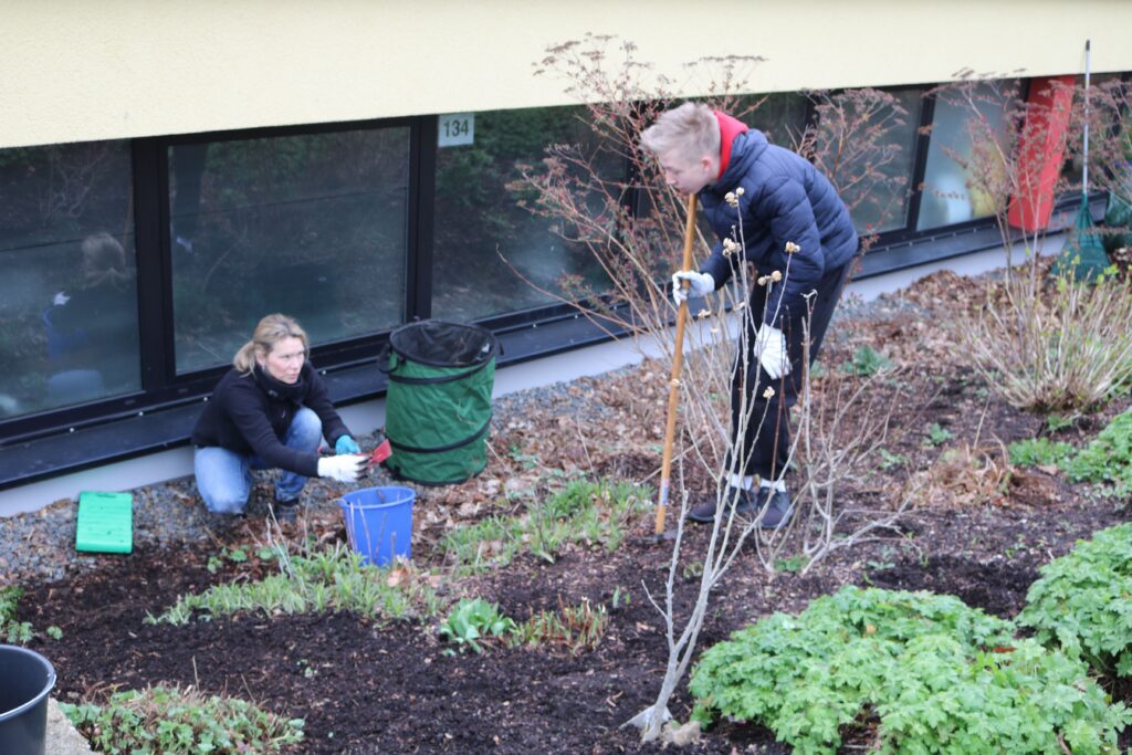 Schüler arbeiten im Schulgarten und pflegen Pflanzen.