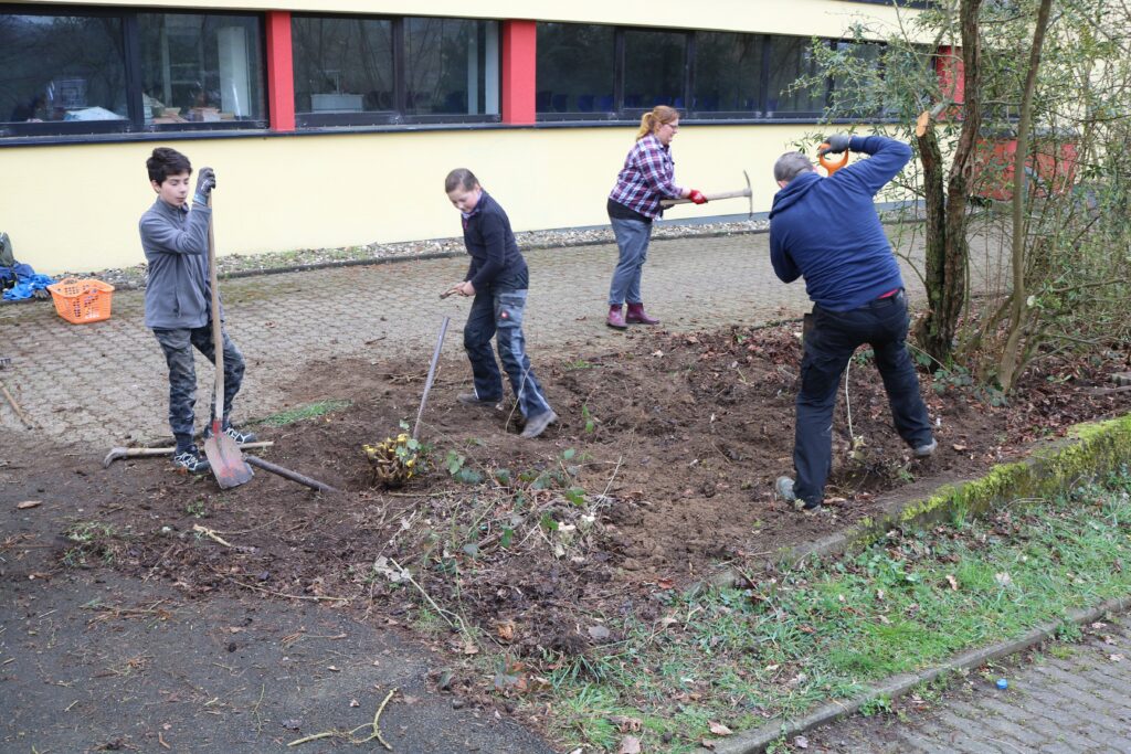 Schüler und Erwachsene arbeiten im Garten und graben Erde um.