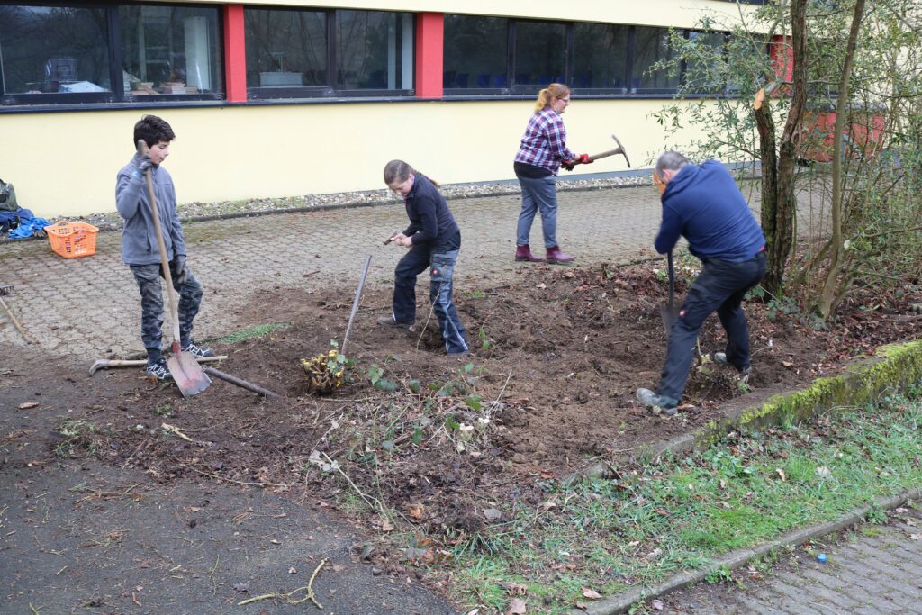 Schüler arbeiten im Schulhof und graben Erde aus.