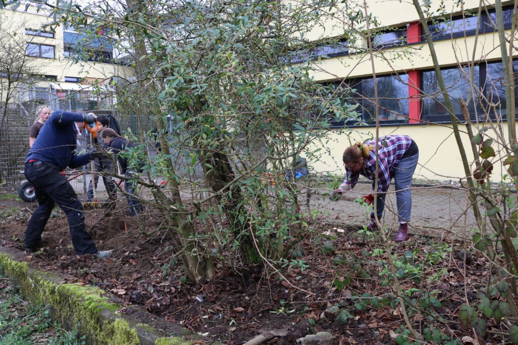 Schüler arbeiten im Schulgarten und pflegen Pflanzen.