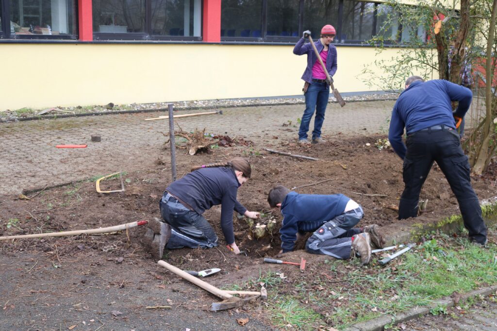 Personen arbeiten im Garten und graben den Boden um.