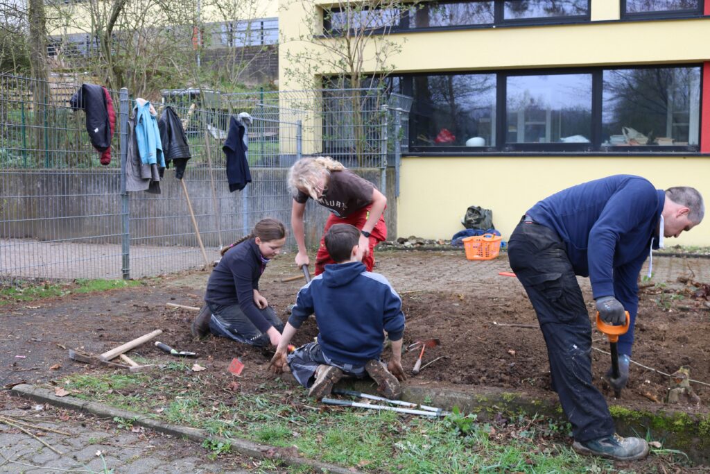 Menschen arbeiten im Garten einer Schule und graben Erde aus.