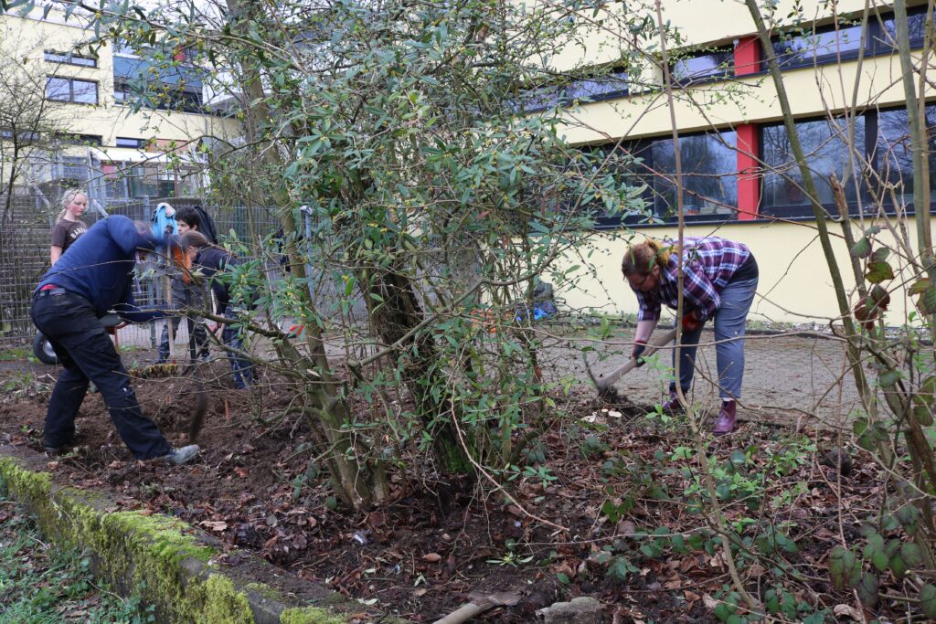 Schüler arbeiten im Garten und jäten Pflanzen neben einem Gebäude.