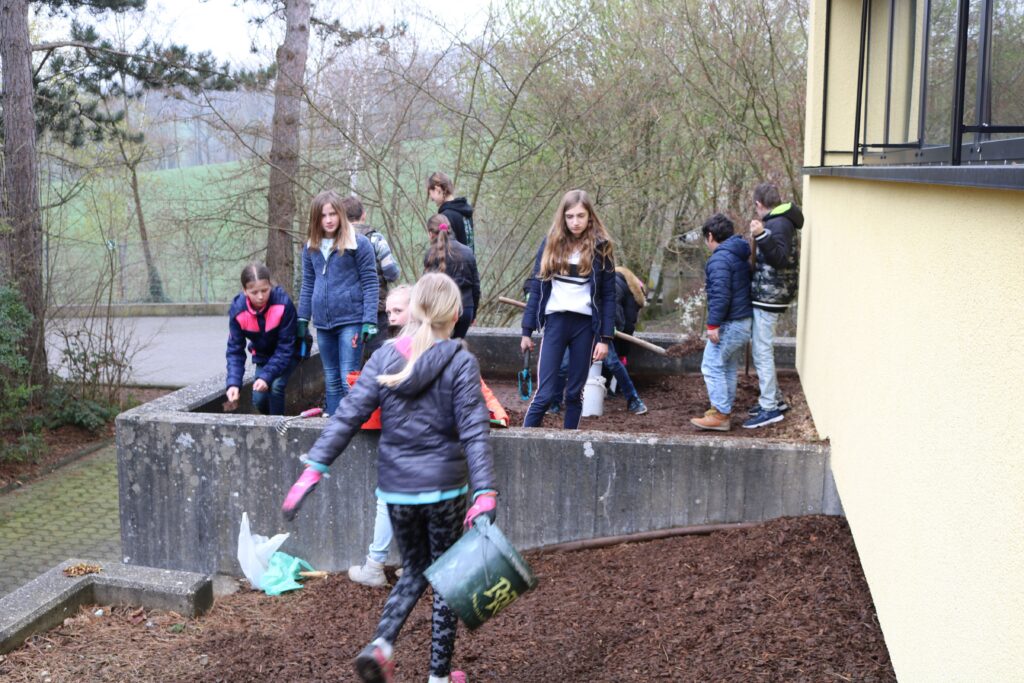 Schülerinnen und Schüler arbeiten im Freien und pflanzen in Beeten.