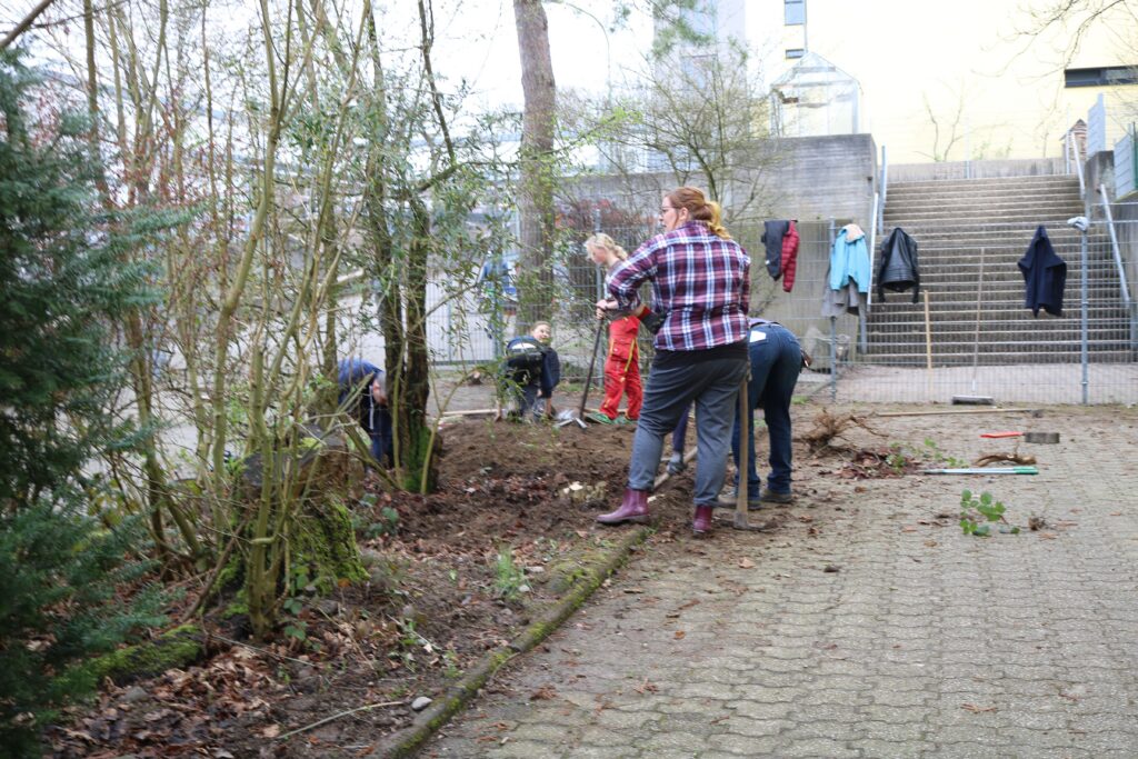 Schüler arbeiten im Freien und pflegen eine Gartenfläche.