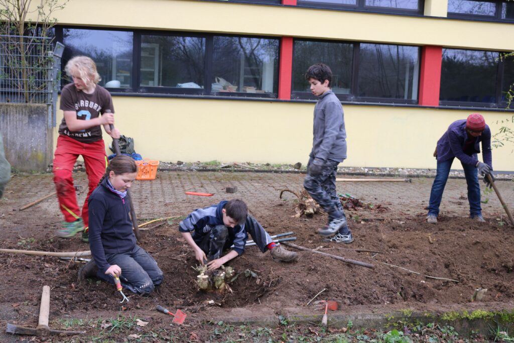 Schüler pflanzen im Schulgarten und arbeiten mit Werkzeugen im Boden.