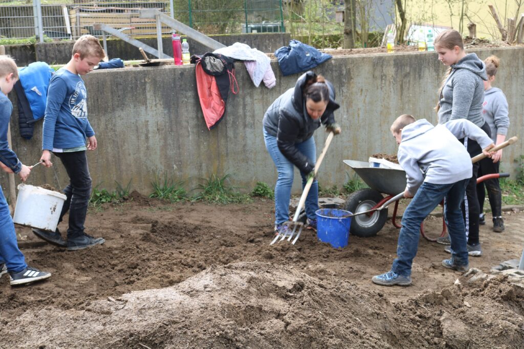 Schüler arbeiten im Freien und graben Erde um. Einige benutzen Werkzeuge.