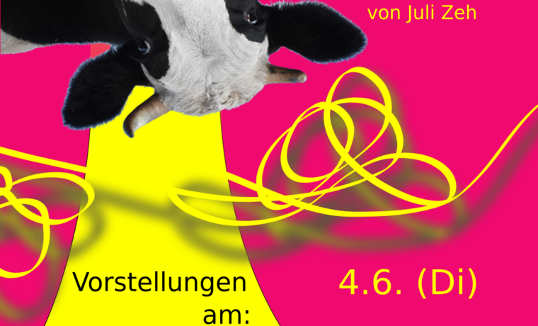 Plakat für das Stück "Yellow Line" mit einer Kuh und bunten Linien, Vorstellungstermine angegeben.