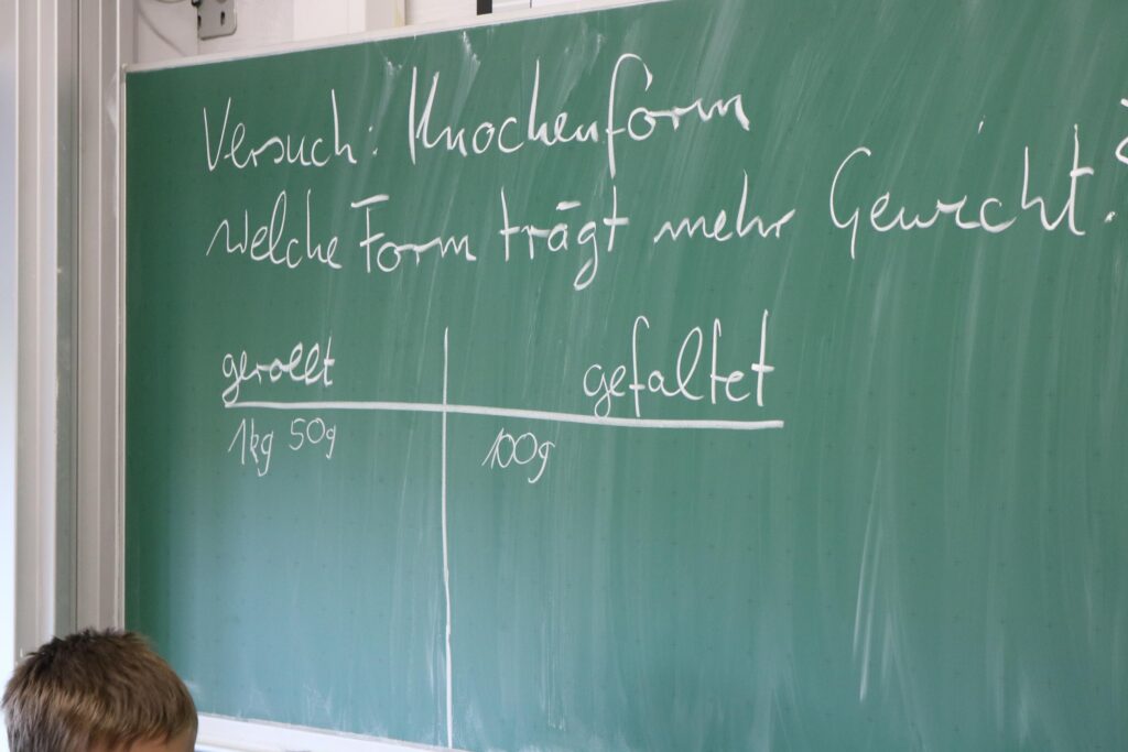 Tafel mit zwei Fragen und Gewichtsdaten zu Knochenformen.