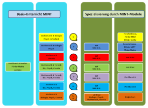 Grafik über MINT-Unterricht mit Basis- und Spezialisierungsmodulen.