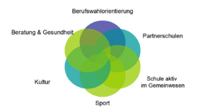 Venn-Diagramm mit verschiedenen Themen: Berufswahlorientierung, Beratung, Kultur, Sport, Partnerschulen.