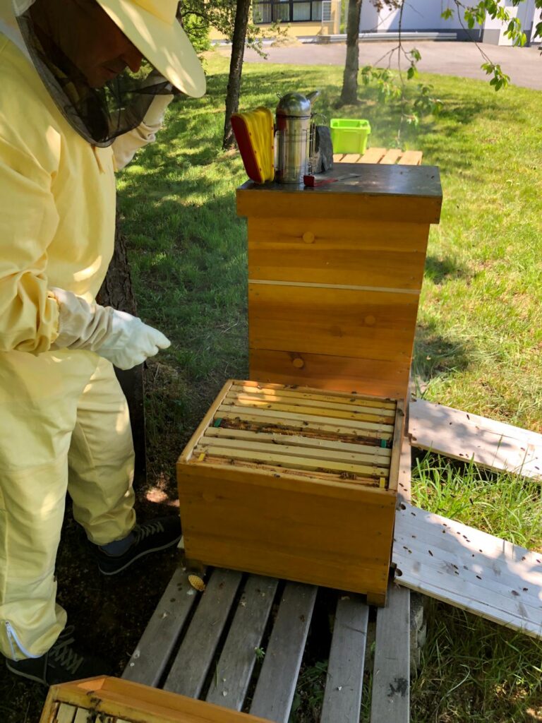 Im Vordergrund steht ein Bienenstock, daneben eine Person in Schutzkleidung.