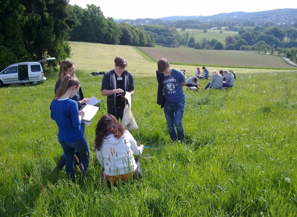 Schüler:innen arbeiten auf einer Wiese und führen Beobachtungen durch.