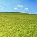 Grüne Wiese mit einem Weg, blauen Himmel und vereinzelten Bäumen im Hintergrund.