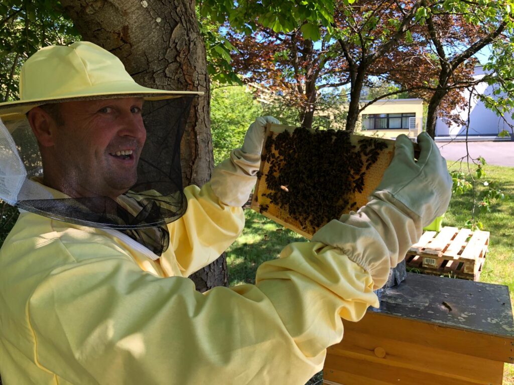 Imker hält einen Wabenrahmen mit Bienen in der Hand.