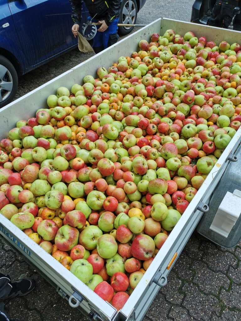 Ein Anhänger voll mit vielen Äpfeln in verschiedenen Farben.