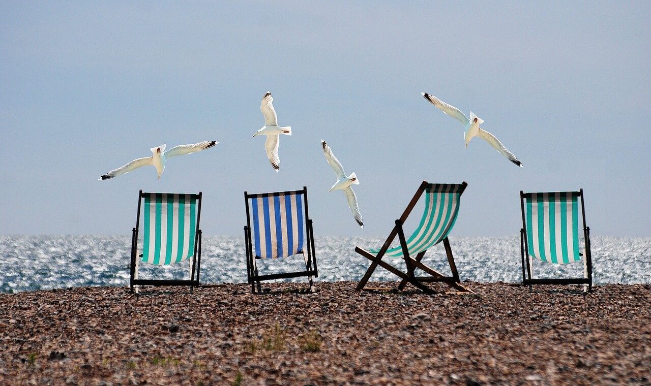 Strandstühle stehen am Ufer, im Hintergrund fliegen Möwen.