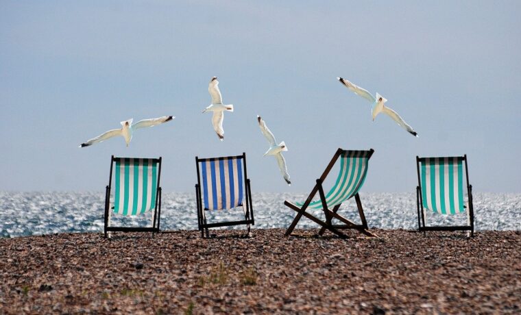Strandstühle stehen am Ufer, im Hintergrund fliegen Möwen.