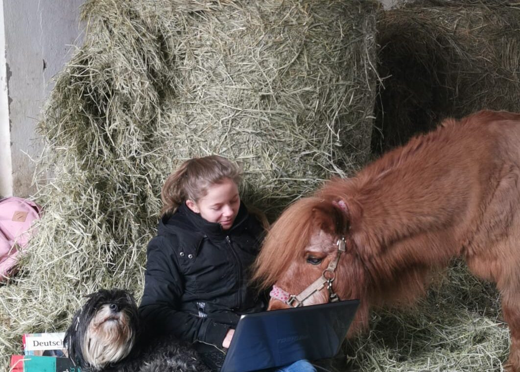 Mädchen sitzt auf Heu und wird von einem Pony und einem Hund umgeben, Huhn sitzt oben.
