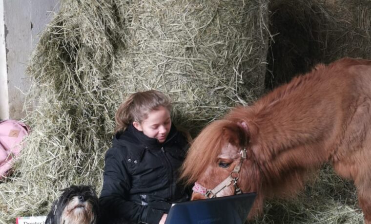 Mädchen sitzt auf Heu und wird von einem Pony und einem Hund umgeben, Huhn sitzt oben.
