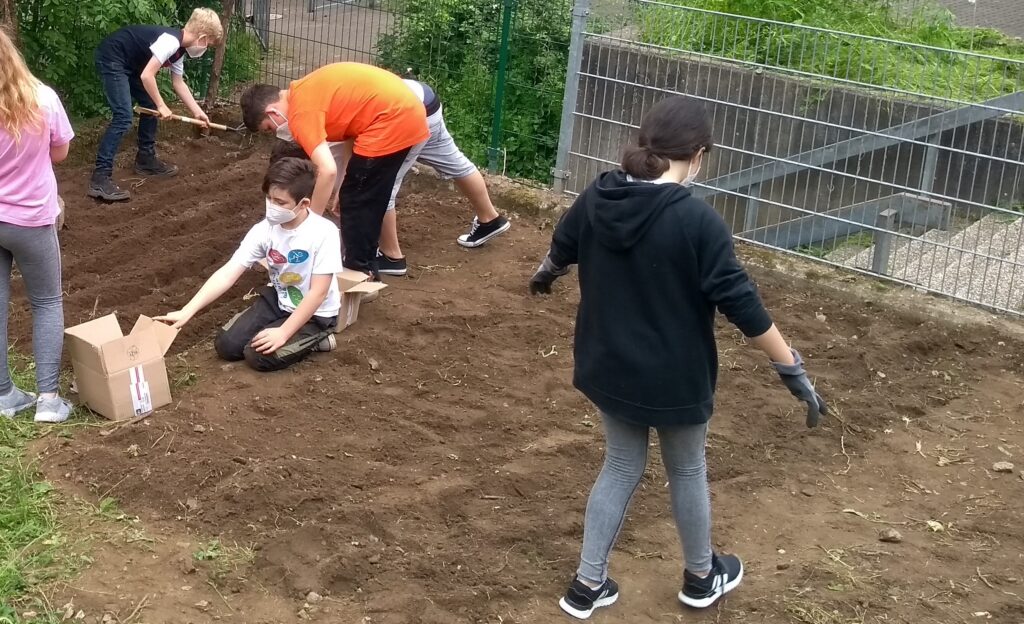 Schüler arbeiten gemeinsam im Garten und bereiten den Boden vor.