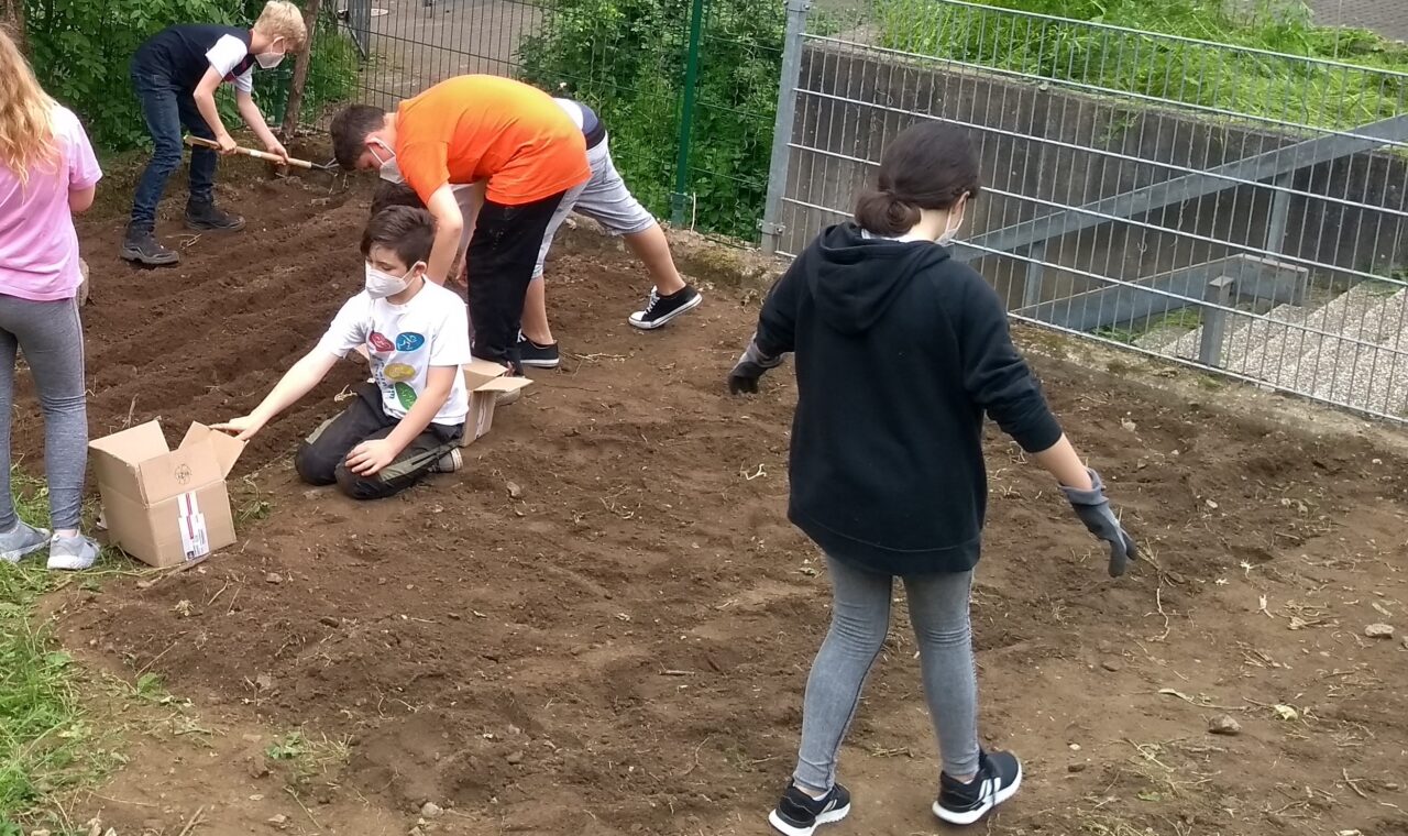 Schüler arbeiten gemeinsam im Garten und bereiten den Boden vor.