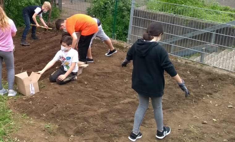 Schüler arbeiten gemeinsam im Garten und bereiten den Boden vor.